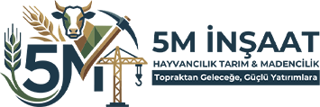 5minsaat.com Logo